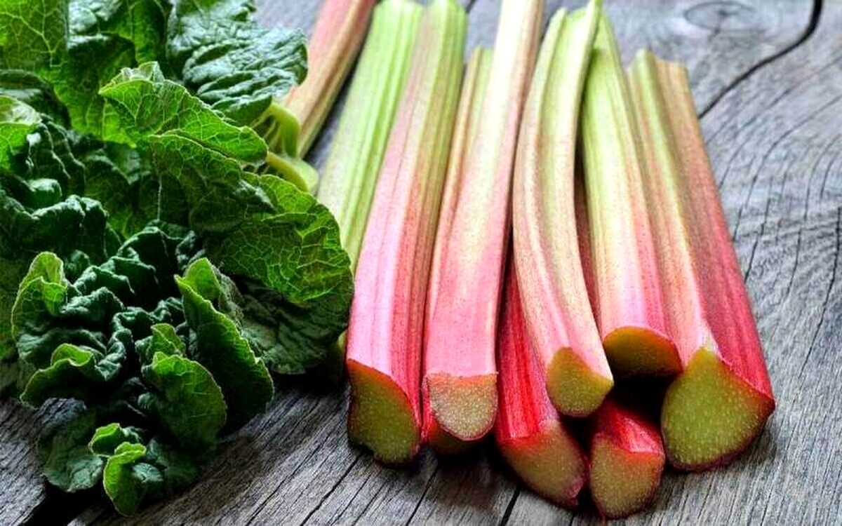 سبزی پرخاصیت بهاری برای تنظیم قند خون | فواید خوردن ریواس برای درمان کبد چرب