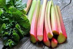 سبزی پرخاصیت بهاری برای تنظیم قند خون | فواید خوردن ریواس برای درمان کبد چرب