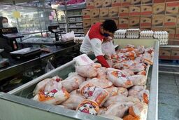 قیمت گوشت بوقلمون در بازار میوه و تره بار چقدر؟