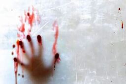 قمه کشی وحشتناک اراذل و اوباش در محله خلیج | درگیری خونین به خاطر مسائل مالی
