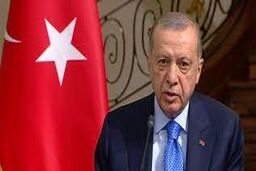 اردوغان از دیدن مالک منچسترسیتی شگفت زده شد! | تعجب اردوغان را ببینید!