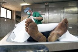 ماجرای تکان‌دهنده کشف جسد مرد جوان زیر درخت انجیر | ضربات هولناک قمه به مرد 36 ساله | می‌خواست با همسرم ارتباط برقرار کند! 