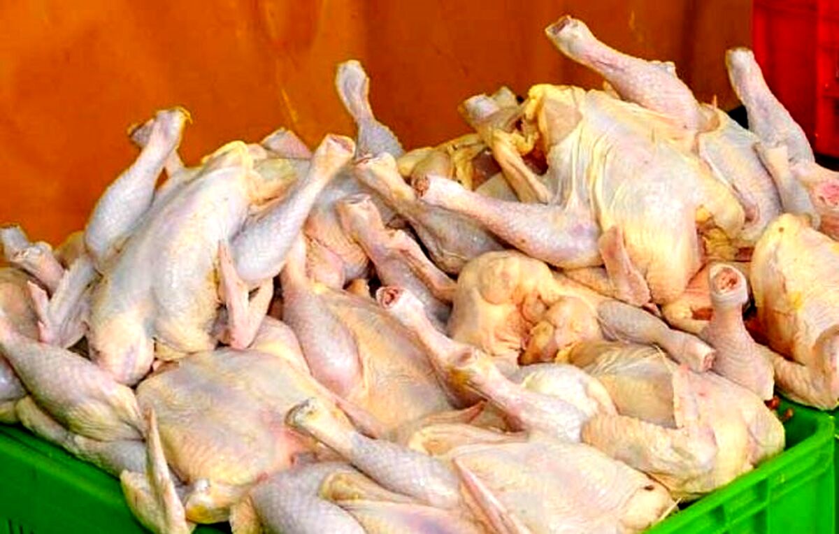 جدیدترین قیمت مرغ اعلام شد +جدول