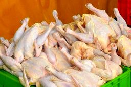 قیمت مرغ امروز بیستم بهمن چقدر شد ؟ | مرغ برای عید ارزان می شود ؟