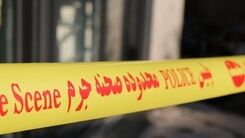 قتل پسر میلیاردر با سم مار در شیراز | راز قتل های سفارشی برملا شد