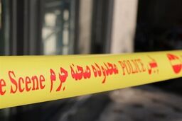 ماجرای قتل شوهر ثروتمند بعد از عروسی | عروس قاتل با باهوشی خاص خانواده شوهرش لو رفت