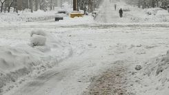 یخبندان در مریوان/تصاویری از یخ بستن روباه بر اثر شدت سرما