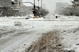 یخبندان در مریوان/تصاویری از یخ بستن روباه بر اثر شدت سرما