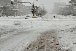 یخبندان در مریوان/تصاویری از یخ بستن روباه بر اثر شدت سرما