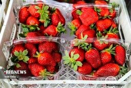 توت‌فرنگی ۲۰۰ هزار تومانی در بازار 