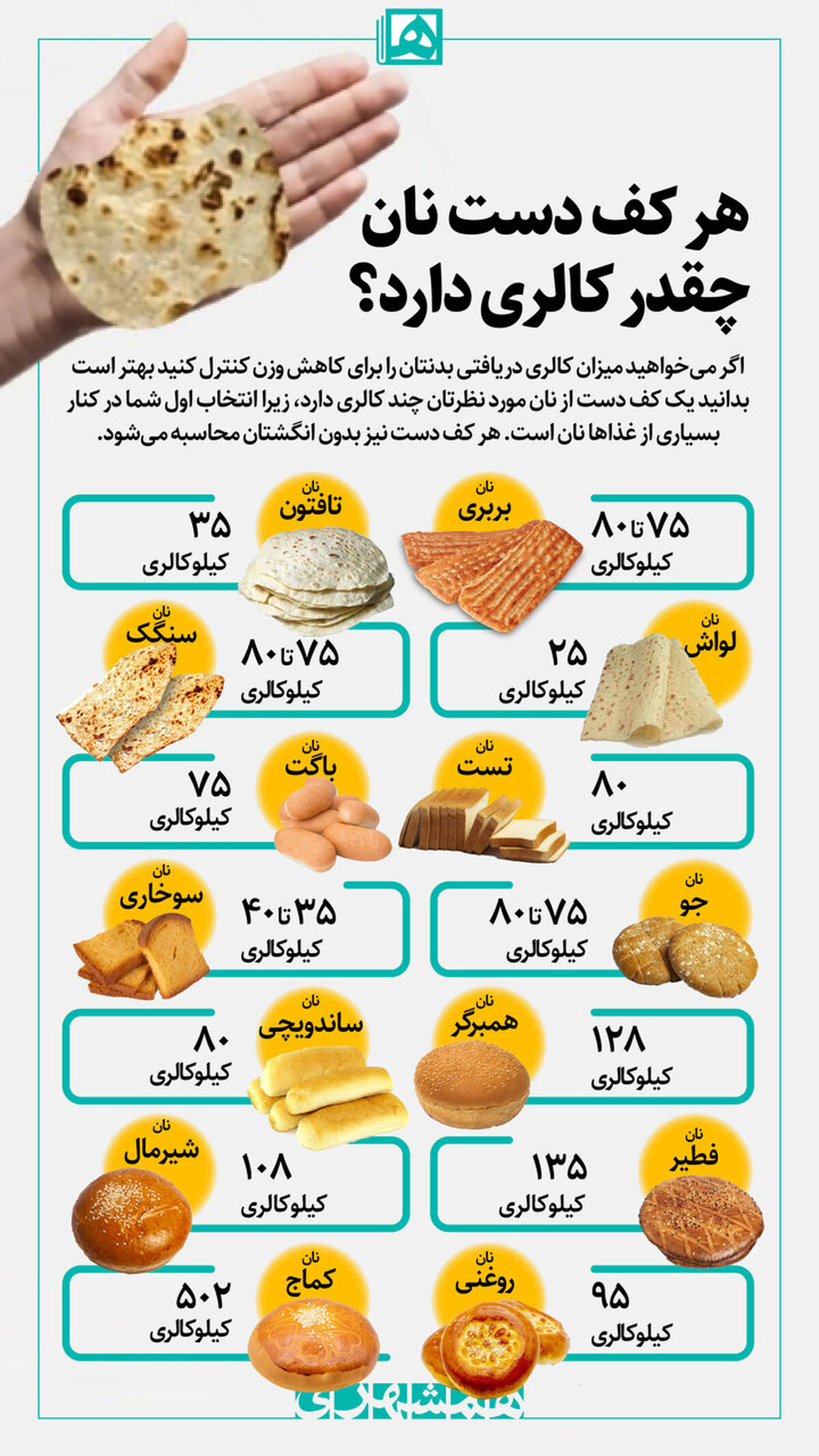 هر کف دست نان چقدر کالری دارد؟ | این نان بیشترین کالری را دارد