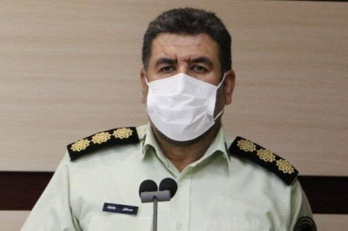 سرقت عجیب در تهران| درخت دزدی در شهر ری!