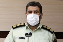 سرقت عجیب در تهران| درخت دزدی در شهر ری!