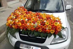 تزئین عجیب ماشین عروس در شیراز +عکس