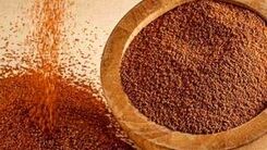 اگر کبد چرب دارید با این روش درمانش کنید | معجزه خاکشیر برای کبد