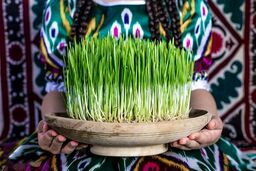 سال ۱۴۰۱ چند روز تعطیلی داریم؟ /تقویم سال آینده در یک نگاه