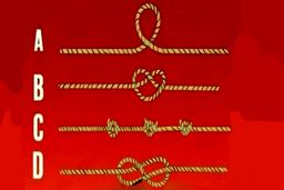 تست شخصیت شناسی | با انتخاب یکی از این طناب ها عجیب ترین ویژگی شخصیتی خود را بشناسید !