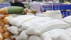 جدیدترین قیمت برنج پاکستانی در بازار | برنج پاکستانی کیلویی چند شد ؟