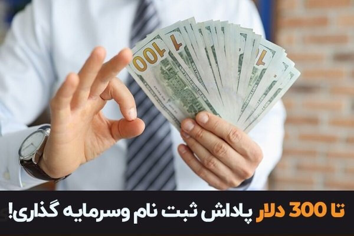 میانگین درآمد ماهانه معامله گران فارکس فاش شد!