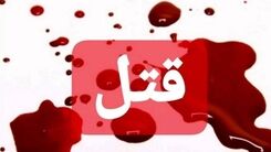 دستگیری عامل پرتاب بلوک های سیمانی 
