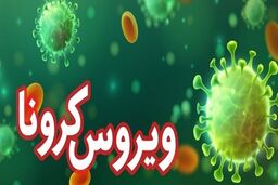 آمار جدید کرونا | فوت ۴ نفر در شبانه‌روز گذشته