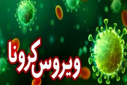 آمار جدید کرونا | فوت ۴ نفر در شبانه‌روز گذشته