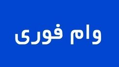 آنلاین و بدون ضامن وام بگیرید | شرایط دریافت وام 100 میلیونی با کارمزد 4 درصد