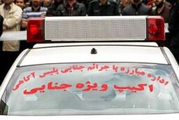 صحنه هولناک کشف جسد تکه تکه شده زن جوان در میدان آزادی تهران | زنی که شاید 4 ساعت قبل زنده بود | کشف جسد مثله شده‌ در یک ساک ورزشی +عکس