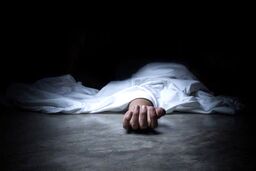 مرگ همزمان دو پسر ۶ ماهه و ۵ ساله در مشهد | سم‌پاشی غیراصولی منجر به حادثه تلخ شد