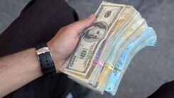 آخرین اخبار قیمت دلار | قیمت دلار در بازار تا کجا پیش رفت؟