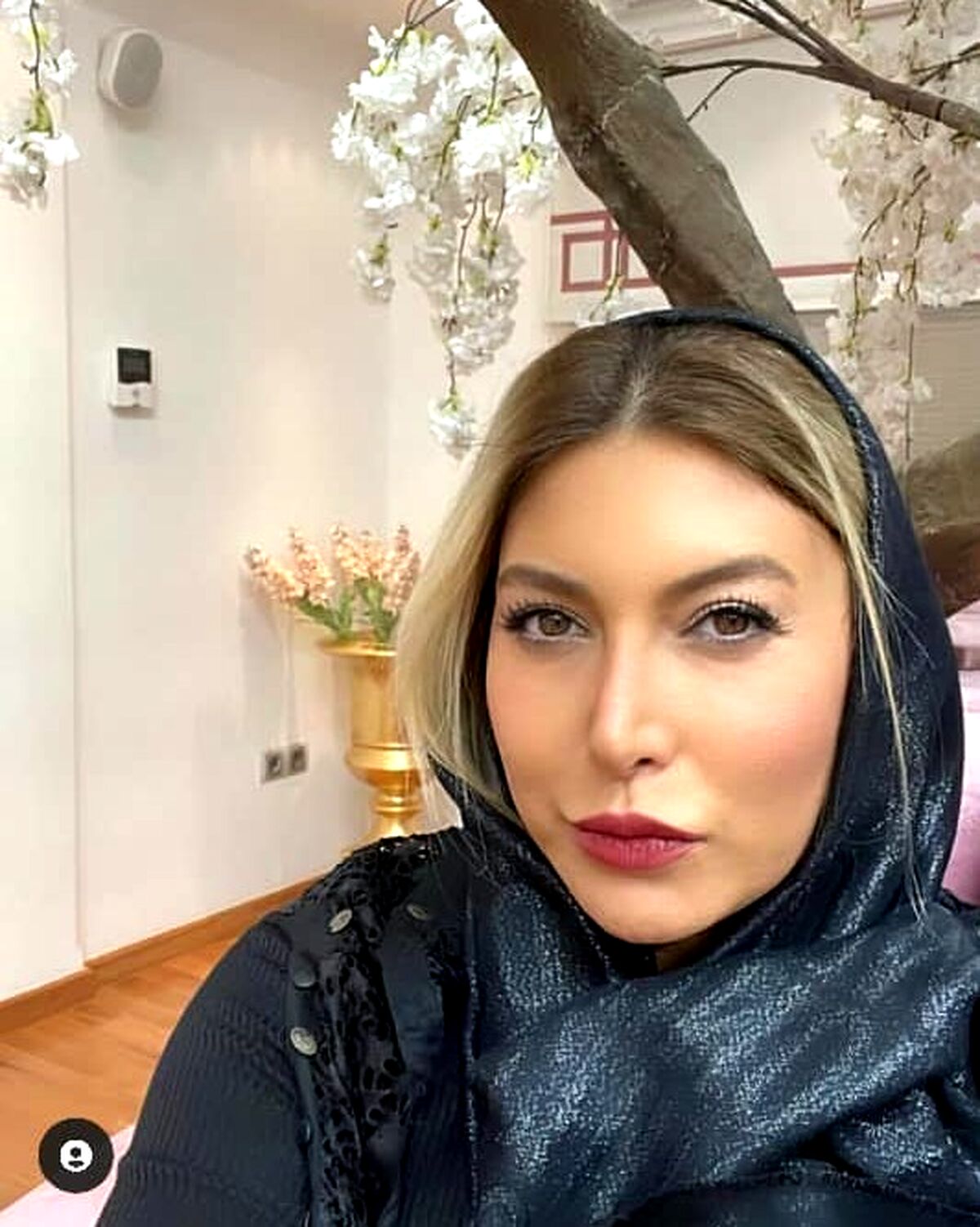 عکس لو رفته از خانه فوق اعیانی فریبا نادری/دکور اروپایی منزل خانم سلبریتی+عکس