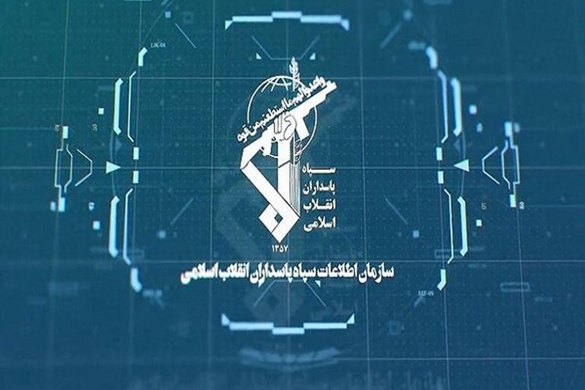 دستگیری یک تبعه خارجی در اغتشاشات رباط کریم 