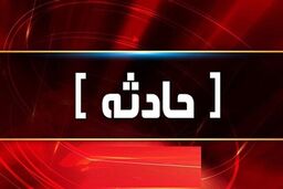 قتل فجیع ترانه در تهران | اعتراف وحشتناک دوست شوهر ترانه