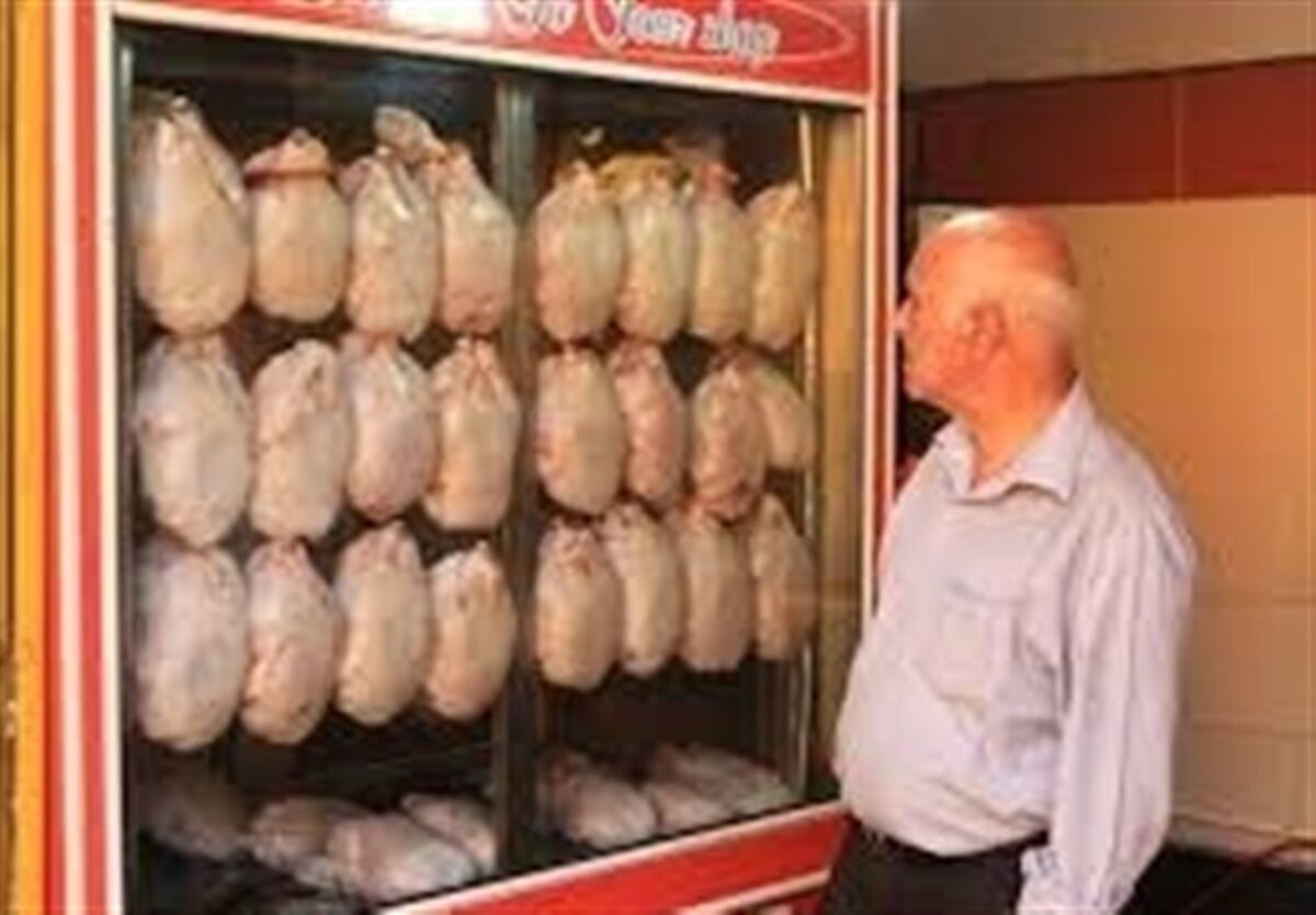 قیمت رسمی مرغ در بازار اول شنبه اعلام شد | مرغ را گران‌تر از این قیمت نخرید