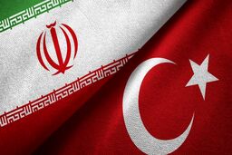 دستگیری دو زن و یک مرد ایرانی در فرودگاه استانبول