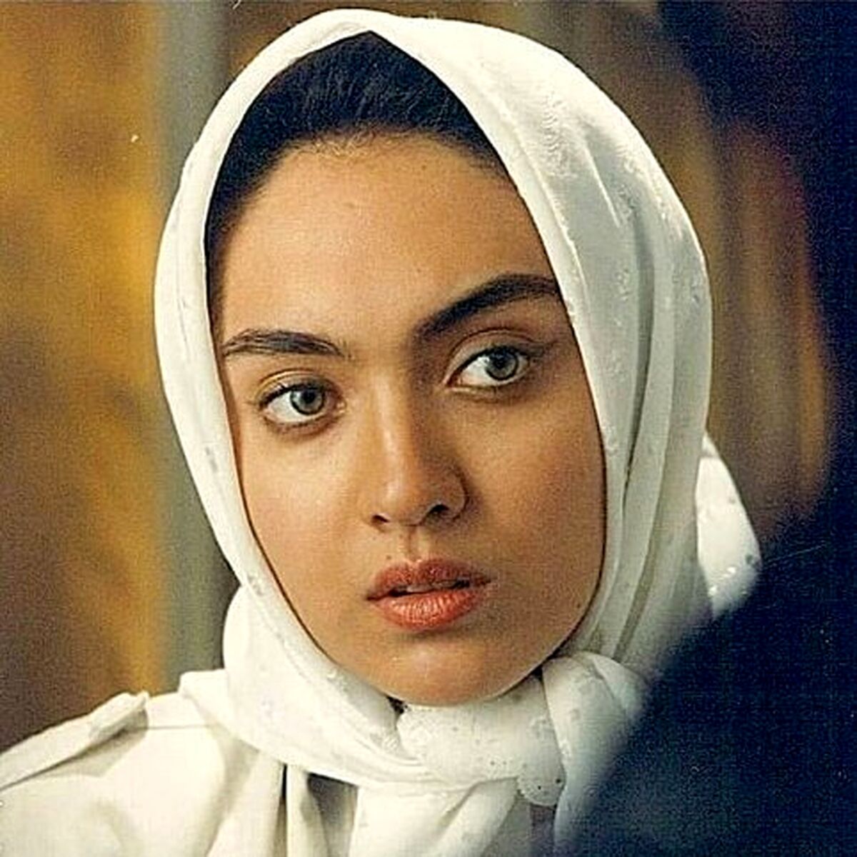 زندگینامه نیکی کریمی