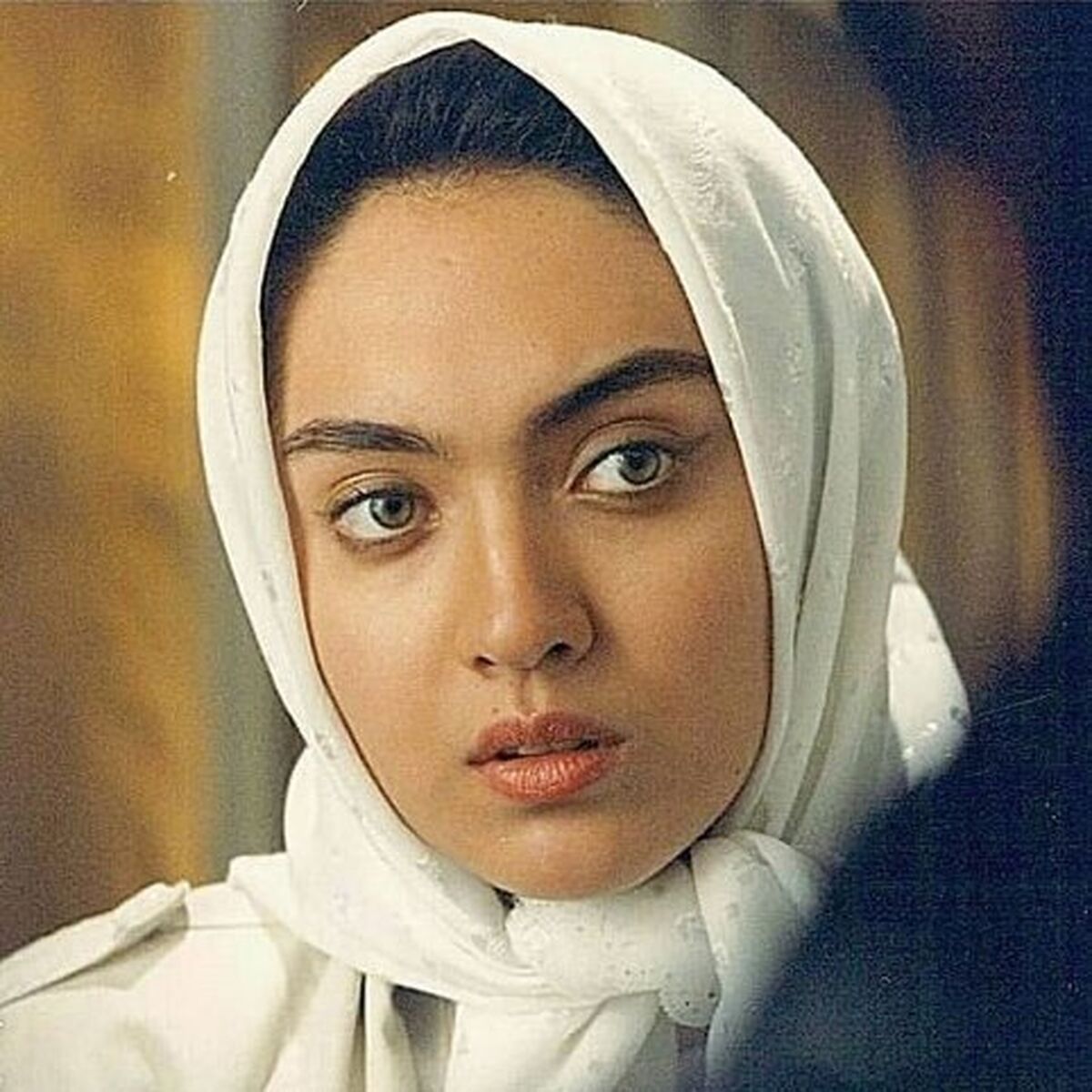 زندگینامه نیکی کریمی