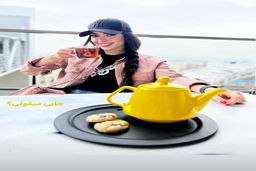 انگشتر نامزدی ساده و ارزان قیمت ترلان پروانه همه را شوکه کرد/نمایی از چیدمان خانه میلیاردی ترلان پروانه  +عکس جدید