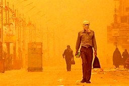 هشدار جدی سازمان هواشناسی به مردم سیستان و بلوچستان | وزش بادهای ۱۲۰ روزه شروع شد