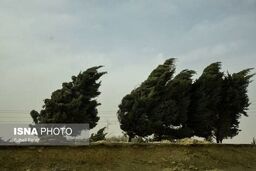 پیش بینی وزش و باران شدید در ۶ استان | اورژانس و هلال احمر در حالت آماده باش