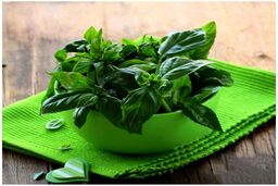سبزی خوش عطر ضد آلزایمر را بشناسید | ریحان بخورید تا آلزایمر نگیرید