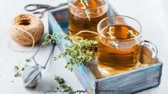 از نوشیدن چای کاهش وزن غافل نشوید | خاصیت چربی‌سوزی فوق العاده آویشن