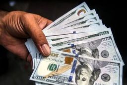 چرخش قیمت دلار در ساعات پایانی روز / دلار چقدر شد؟