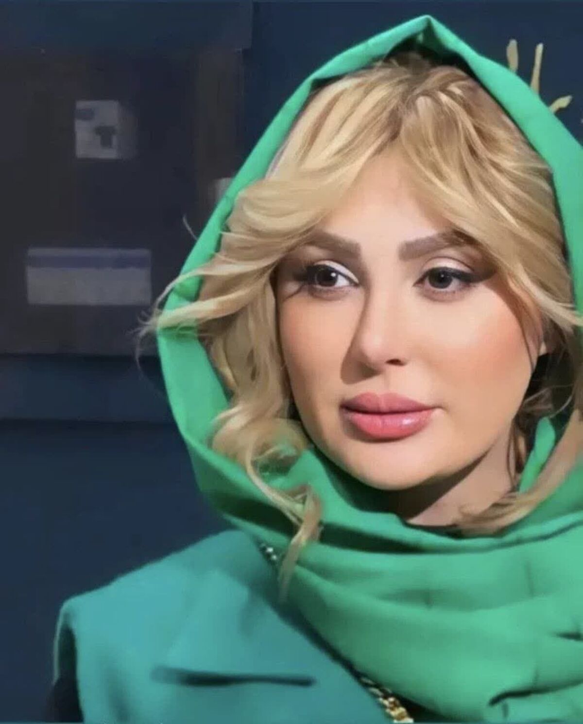 نیوشا ضیغمی را هیچ وقت این شکلی ندیده بودید | باورتان می شود این خانم با این پوشش نیوشا ضیغمی باشد +عکس