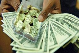 قیمت سکه فیوز پراند | جدیدترین قیمت‌ سکه و دلار را ببینید ؛ ۲۷ آذر ۱۴۰۱