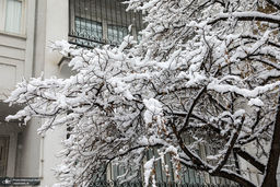 پنجشنبه و جمعه کل ایران برفی و بارانی می‌شود !