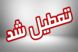 تعطیلی مدارس استان تهران روز شنبه ۱۴ بهمن | مدارس کدام شهرستانهای تهران تعطیل شد؟