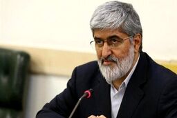  علی مطهری به شورای نگهبان چه گفت؟+جزئیات بیشتر 

