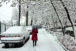 اطلاعیه تعطیلی مدارس امروز ۱۷ بهمن  | مدارس دماوند تعطیل شد
