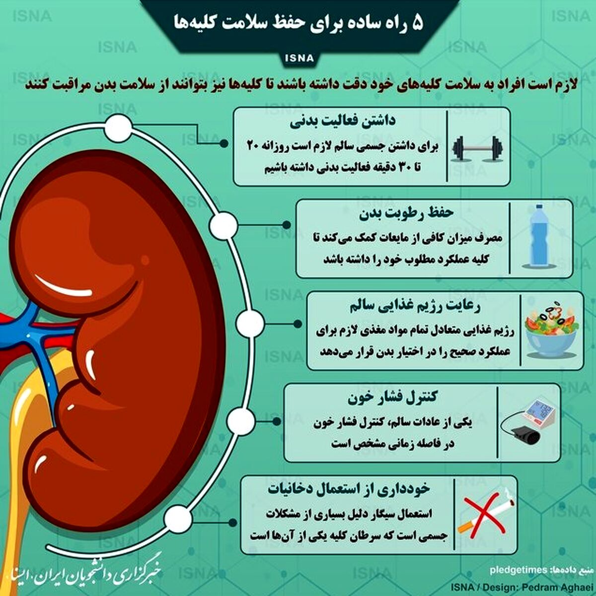 چند توصیه برای سلامتی کلیه ‌ها!+اینفوگرافی 